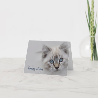 Kitten Thinking of You Card - Customisable
