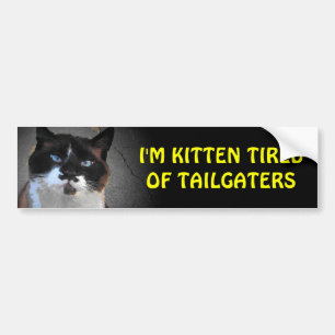 Kitten Tired of Tailgaters Cat Stand It Bumper Sticker