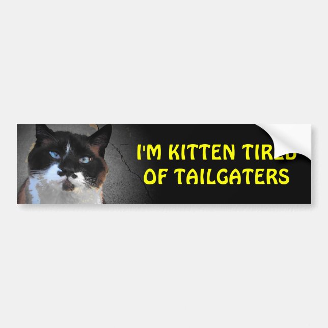 Kitten Tired of Tailgaters Cat Stand It Bumper Sticker (Front)