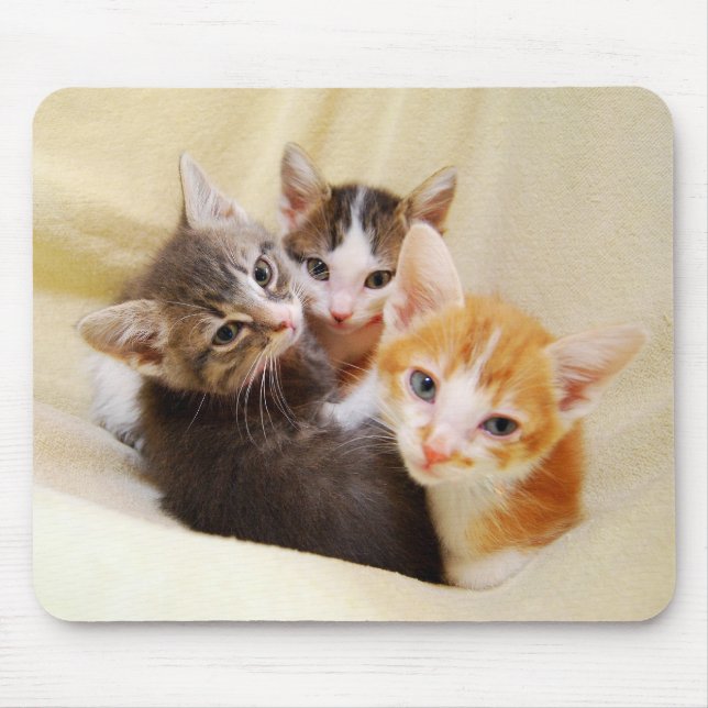 Kitten Trio Mousepad (Front)