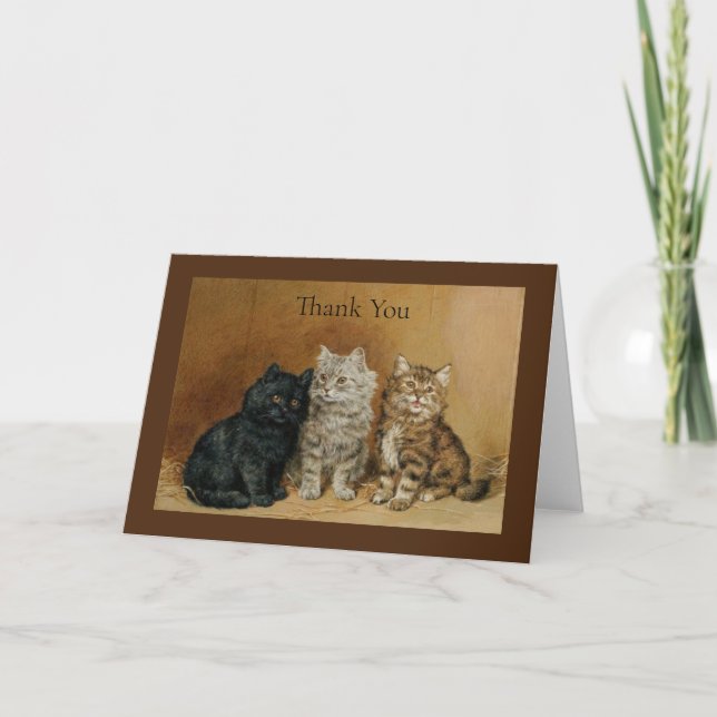 Kitten Trio Thank You Card (Front)