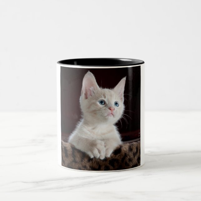 Kitten two toned coffee mug. Two-Tone coffee mug (Center)