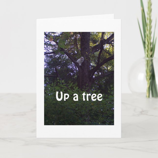 KITTEN UP A TREE WISHES YOU WERE NOT A YEAR OLDER CARD (Front)