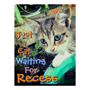 Kitten waiting for recess Poster