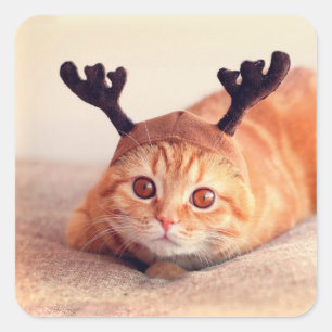 kitten wearing a Christmas reindeer hat Square Sticker