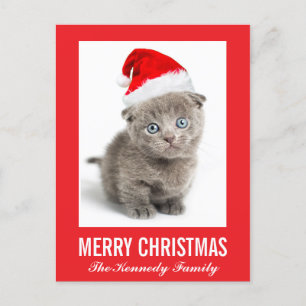 Kitten wearing a Santa hat Holiday Postcard