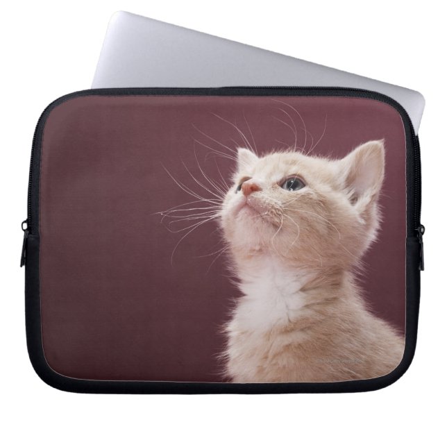 Kitten Whiskers Laptop Sleeve (Front)
