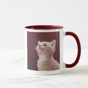 Kitten Whiskers Mug