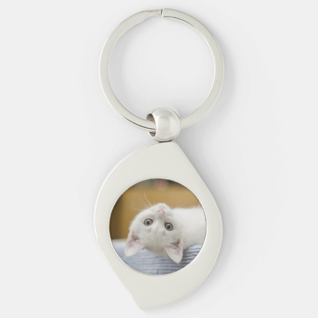 Kitten, White, Cat Key Ring (Front)