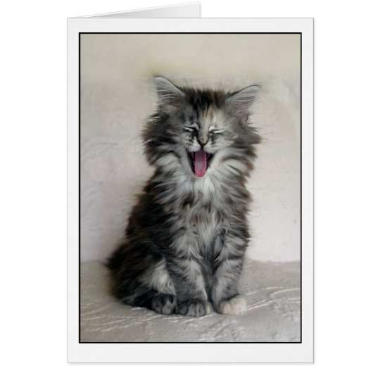 Kitten with a great expression card