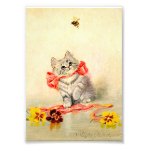 Kitten with a Red Ribbon Photo Print