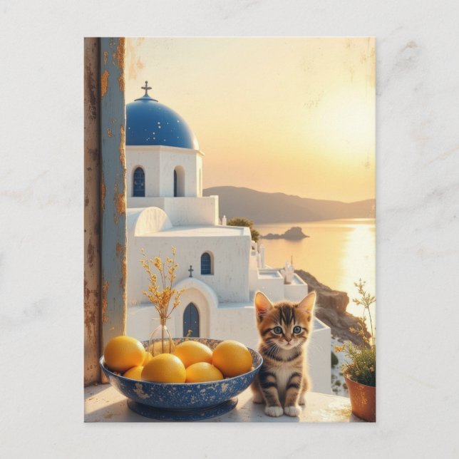 Kitten with a view of sunset postcard (Front)