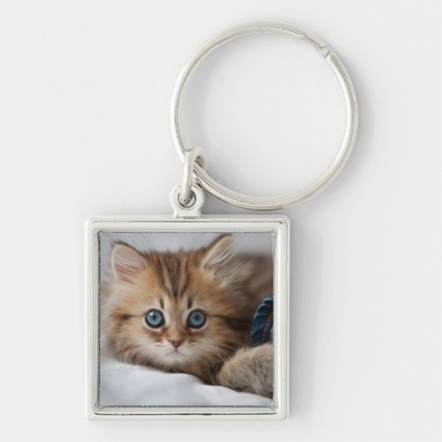 Kitten With Blue Eyes Key Ring (Front)