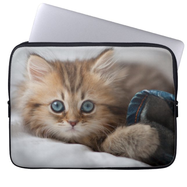 Kitten With Blue Eyes Laptop Sleeve (Front)