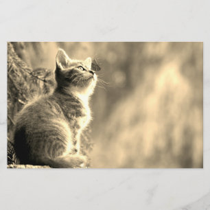 Kitten With Butterfly Friend Stationery