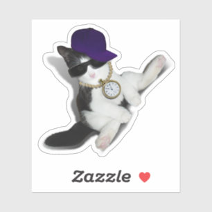 Kitten With Cat Attitude 