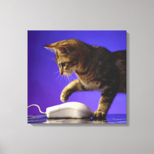 Kitten with computer mouse canvas print