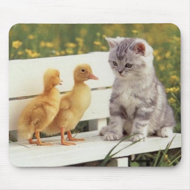 kitten with ducks mouse mat (Front)