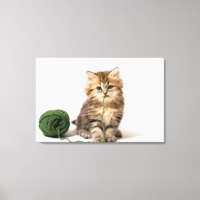 Kitten With Green Yarn Canvas Print (Front)