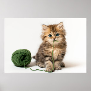 Kitten With Green Yarn Poster