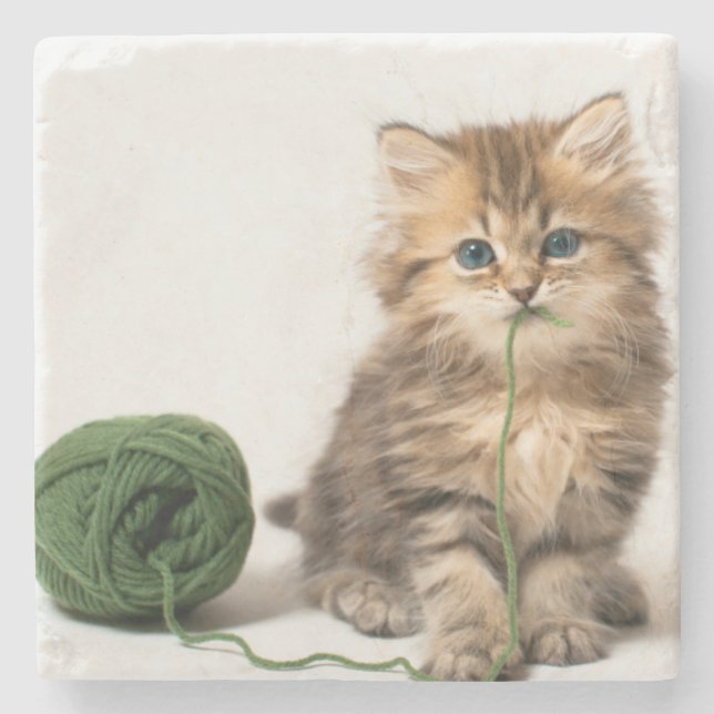 Kitten With Green Yarn Stone Coaster (Front)