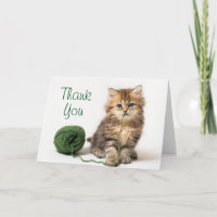 Kitten With Green Yarn