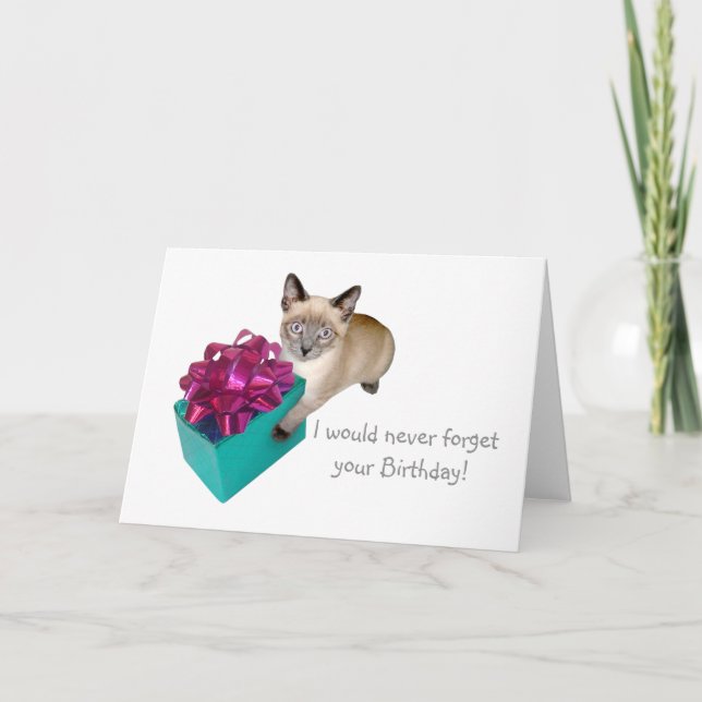 Kitten with Present Birthday Card (Front)