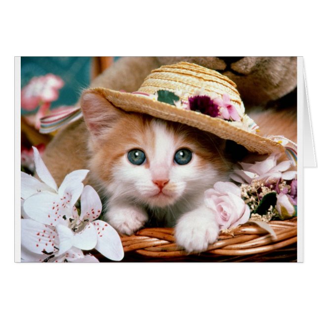 Kitten with straw hat. (Front Horizontal)