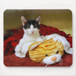 Kitten With Toy Tiger Mousepad