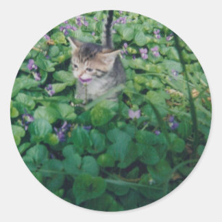 KITTEN WITH VIOLET SMILE CLASSIC ROUND STICKER