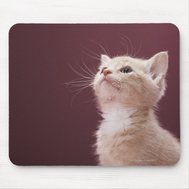 Kitten with Whiskers Mouse Mat (Front)
