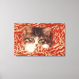 Kitten wrapped in woollen blanket, close-up canvas print
