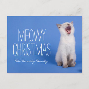 Kitten yawning holiday postcard