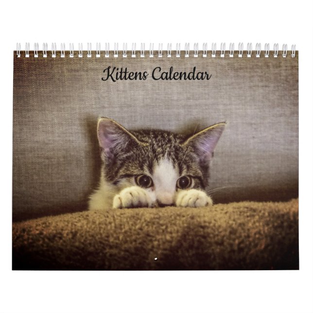 Kittens 2026 Calendar (Cover)
