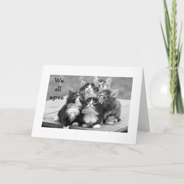 KITTENS ALL AGREE U SHOULD HAVE HAPPY BIRTHDAY CARD (Front)