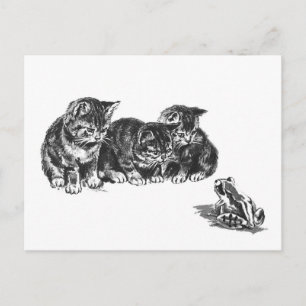 Kittens and a toad by Ernest Nister - vintage cat Postcard