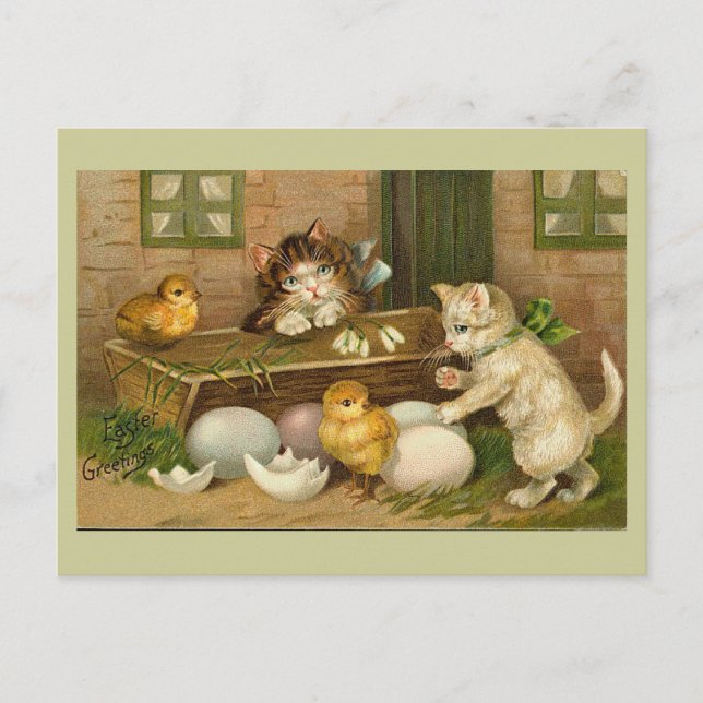 Kittens and Chicks Vintage Easter Greeting Holiday Postcard (Front)
