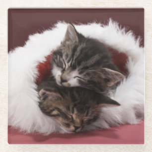 Kittens asleep together in Christmas hat Glass Coaster