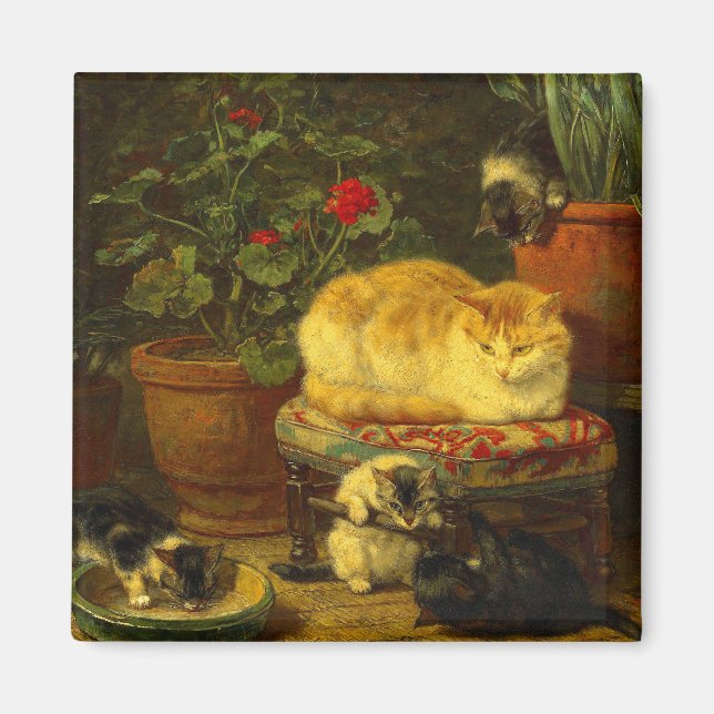 Kittens at Play Magnet (Front)