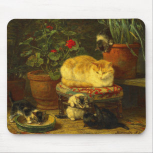 Kittens at Play Mouse Mat