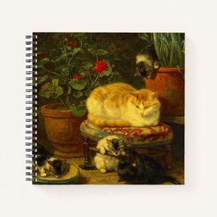 Kittens at Play Notebook