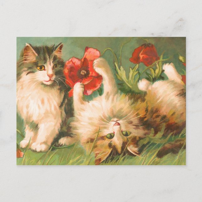 Kittens at Play Postcard (Front)