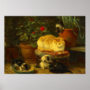 Kittens at Play Poster