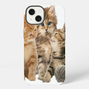 Kittens at play products iPhone 13 case