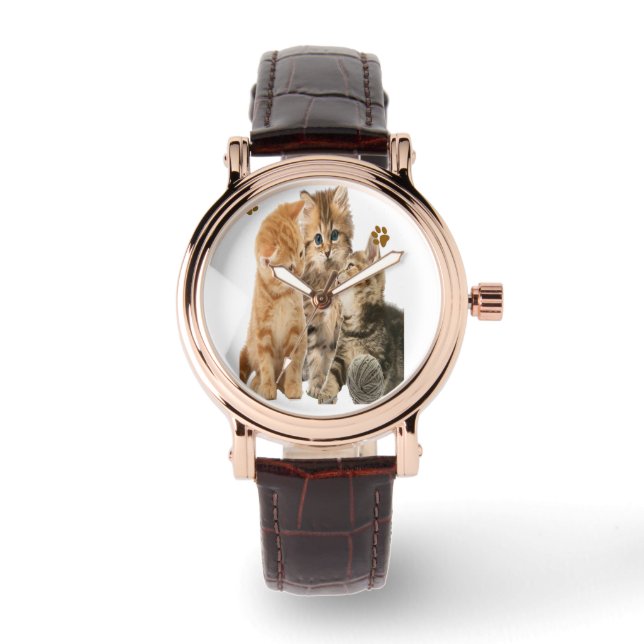 Kittens at play watch (Front)