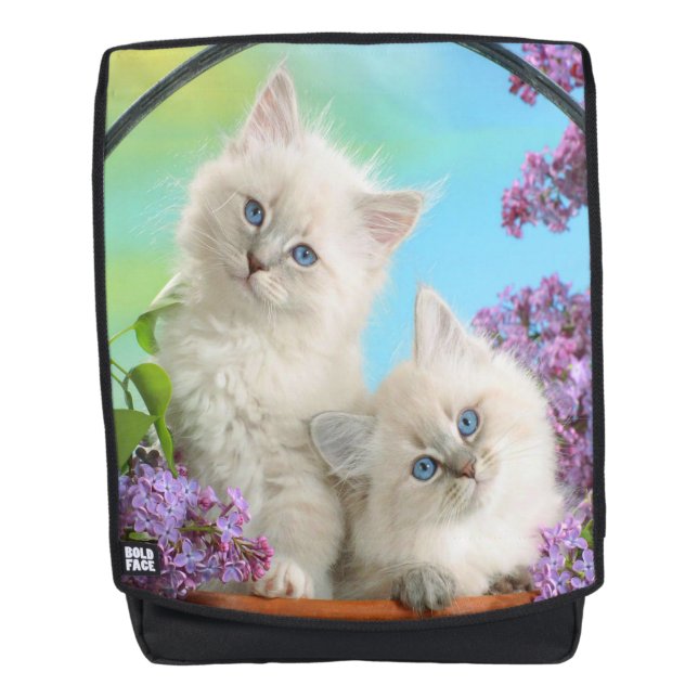 Kittens Backpack (Front)