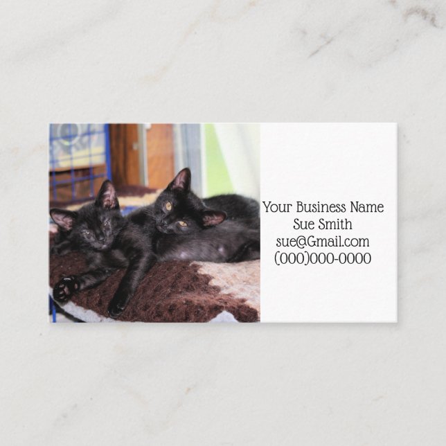 Kittens Business Card (Front)