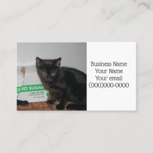 Kittens Business Card