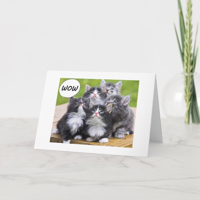 KITTENS CAN'T BELIEVE YOU ARE "OVER THE HILL" CARD (Front)