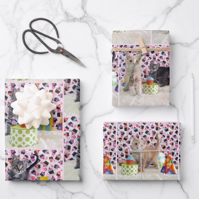 Kittens! (cats) Buffington and Patton's Birthday Wrapping Paper Sheet (Front)
